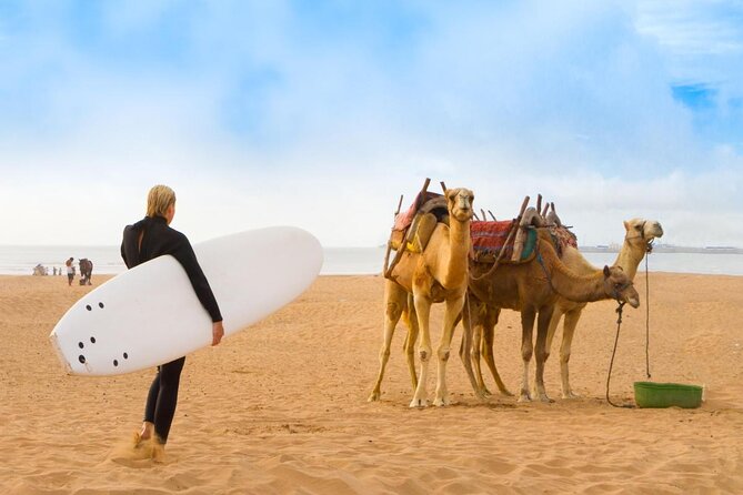 Essaouira Guided Tour: 3 on 1 - Nightlife tour, Live like a local & Street food - Bab Sbaa and the opening walk