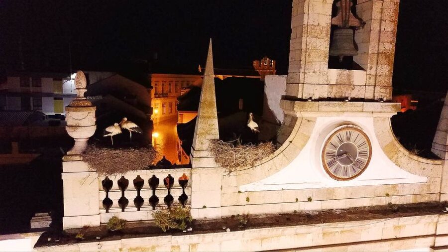 Faro: Night Segway Tour with Cocktails - Starting at Hotel Faro and Columbus bar