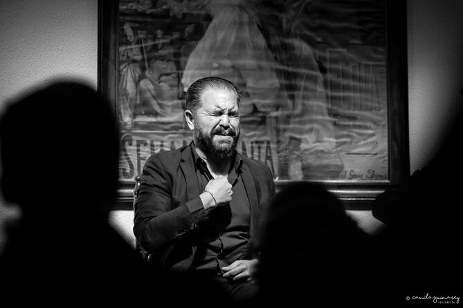 Flamenco Show in Seville at Bar and Tapas - The artistic focus: guitar, voice, and dance