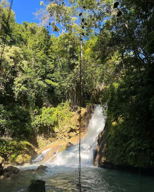 Floyd’s Pelican Bar, Ys Falls and Black River Safari Tour - The best order for your day