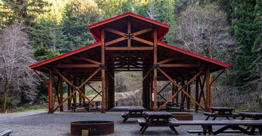 From Fort Bragg: Redwoods Train Ride and Nightclub Ticket - Key points to know before you book