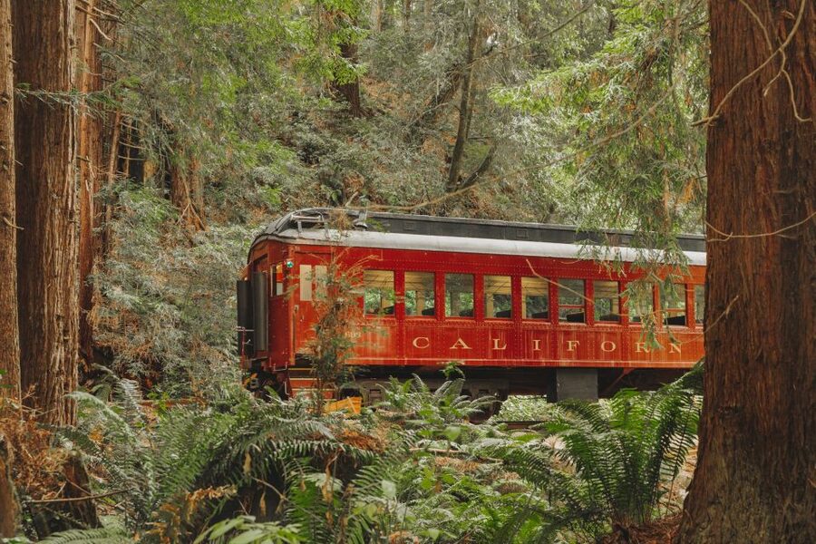 From Fort Bragg: Redwoods Train Ride and Nightclub Ticket - Live music in a redwood setting