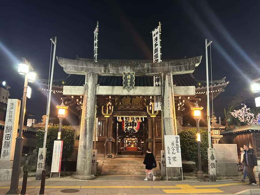 Fukuoka: Private Nightlife and Hidden Gems Tour with a Local - A Fukuoka night that follows your interests