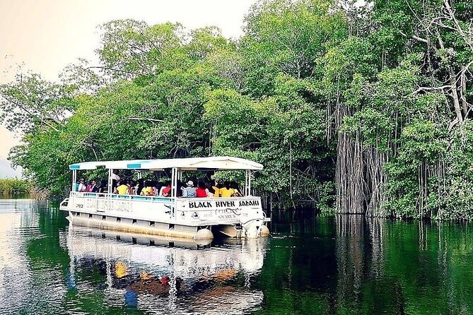 Full-Day South Coast - YS Falls, Pelican Bar & Black River Safari - Leaving Negril in a private vehicle