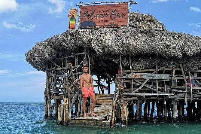 Full-Day South Coast - YS Falls, Pelican Bar & Black River Safari - Booking, cancellation, and practical planning