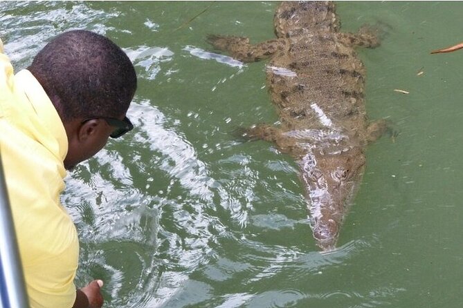 Full-Day South Coast - YS Falls, Pelican Bar & Black River Safari - YS Falls and its seven cascading levels