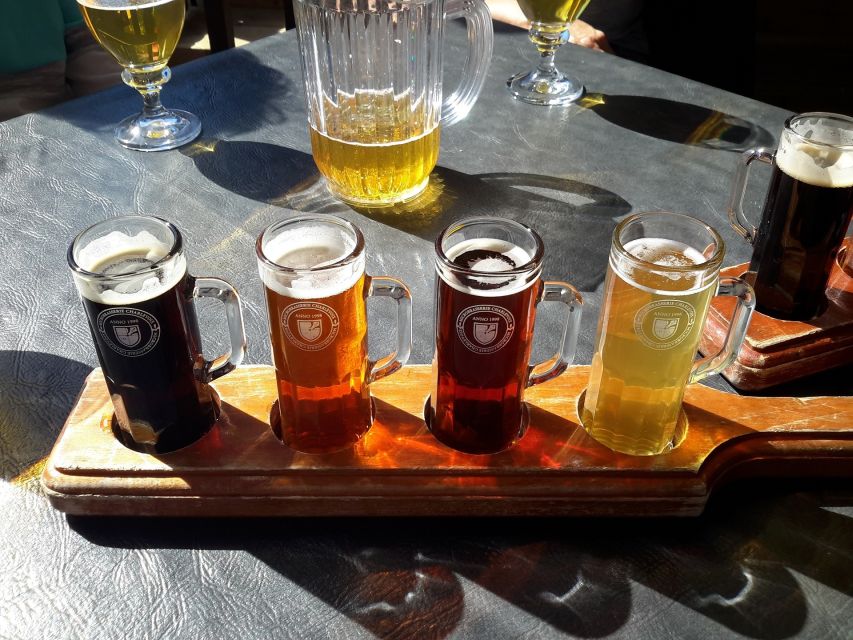 Gdansk Private Polish Beer Tasting Tour at Best Pubs & Bars - Who should book this Gdansk beer tour?