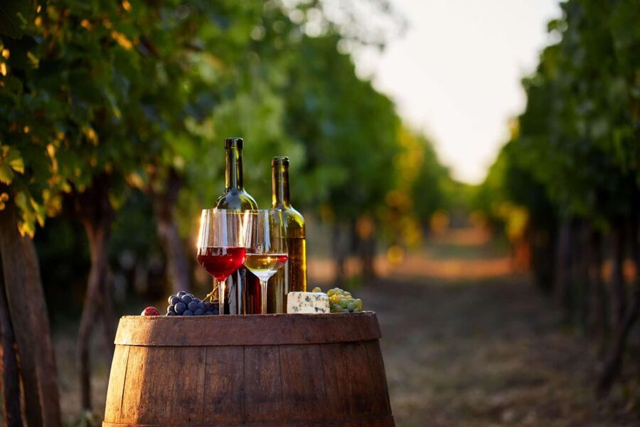 German Wine Self-Guided Tour in Munich's Old Town Wine Bars - Cost, drink budget, and overall value