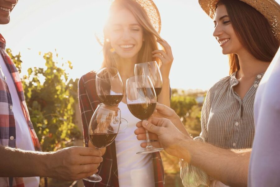 German Wine Self-Guided Tour in Munich's Old Town Wine Bars - Who should book this wine route