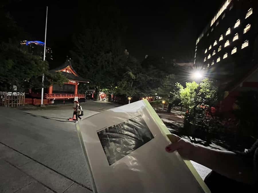 Get to know Shinjuku (nightlife optional) - Key points to know before booking