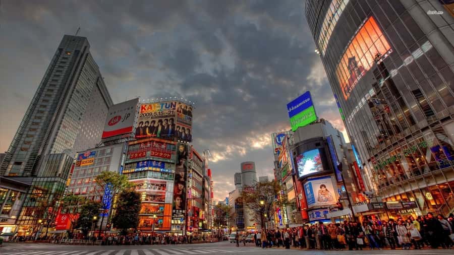 Get to know Shinjuku (nightlife optional) - From department stores to Tokyo’s entertainment core