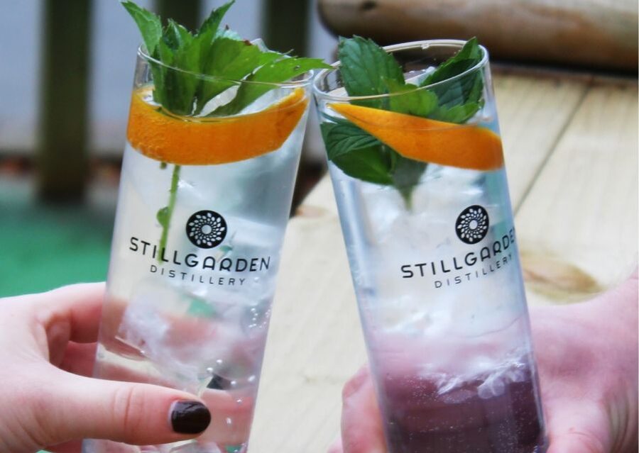 Gin School, distill you own gin, cocktails, tastings, food - Key points to know before booking