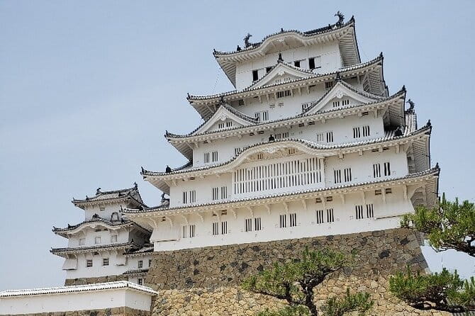 Himeji Bar Hopping Tour - Who gets the best value from this tour