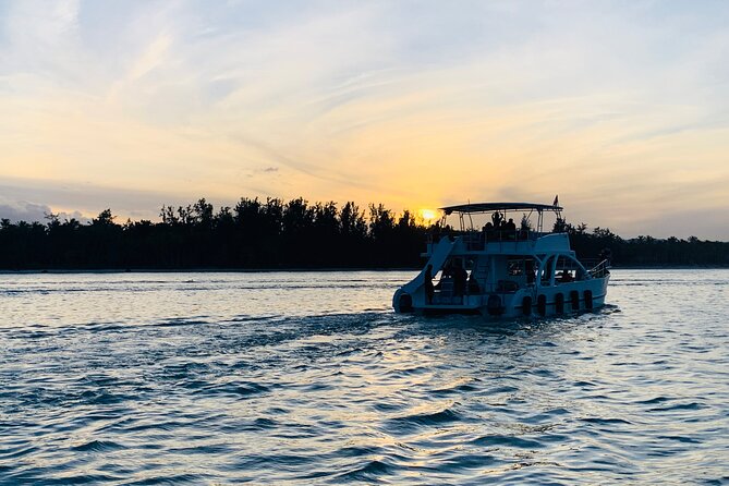 Hip Hop adult only Party Boat with Unlimited drinks& sand-bar - Dolphin viewing from the catamaran