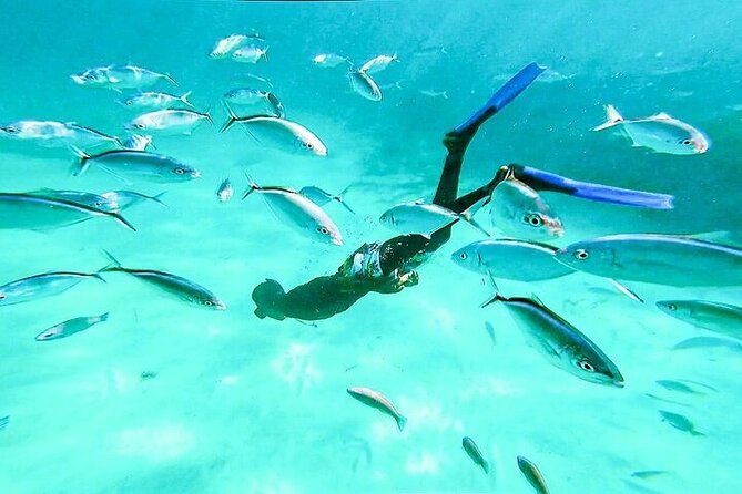 Hip Hop solo para adultos PartyBoat con Bebidas ilimitadas y Bar - The snorkeling stop is a bonus, not the main event