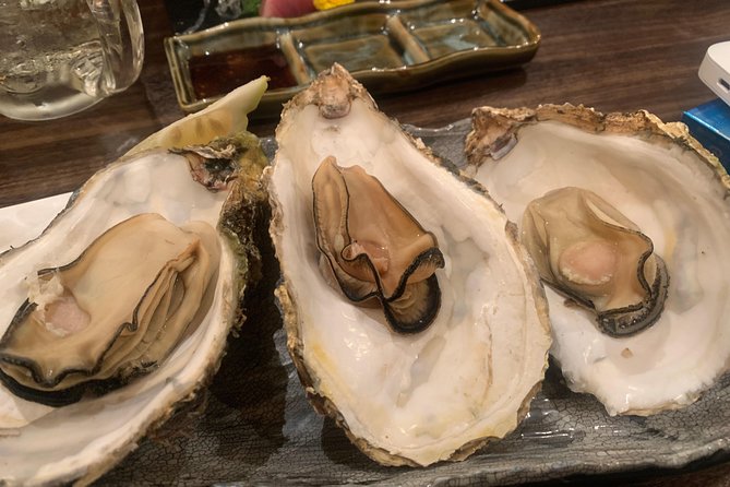 Hiroshima Izakaya Food and Drink Night Tour - Should you book it?