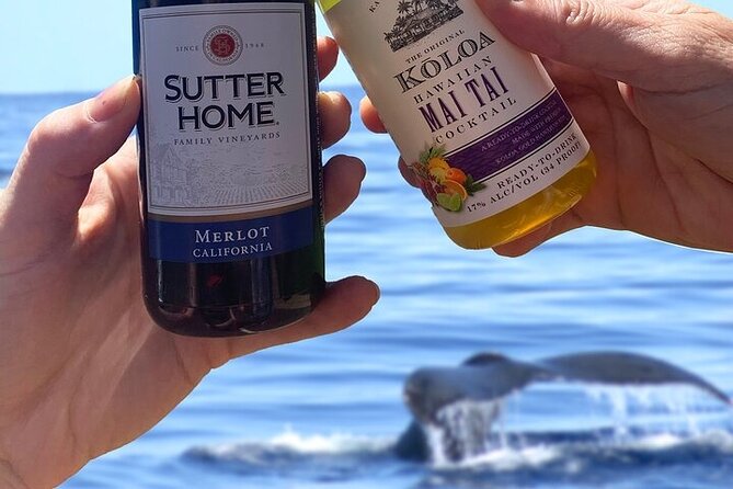 'Imiloa Express Whale Watch and Cocktail Tour - What the ride feels like in real conditions