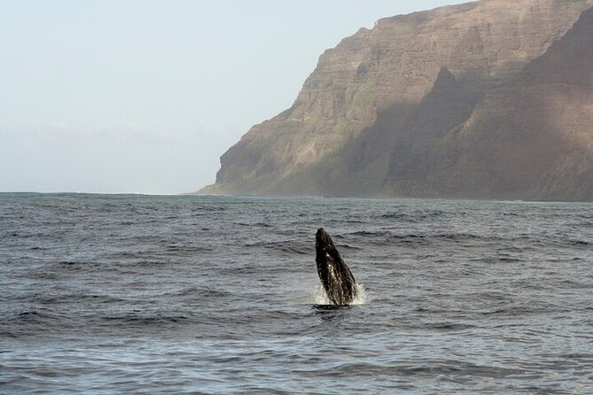 'Imiloa Express Whale Watch and Cocktail Tour - Cancellation and weather rules