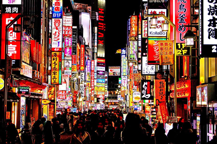 Kabukicho bar hopping & grab a bite tour - Temari sushi and the first 80 minutes
