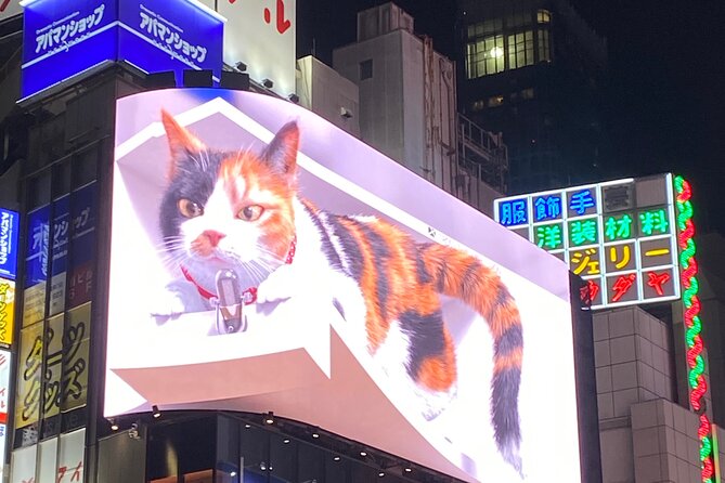 KABUKICHO DEEP TOUR + DINNER & BAR HOP w/local certified guide - Key Points at a Glance