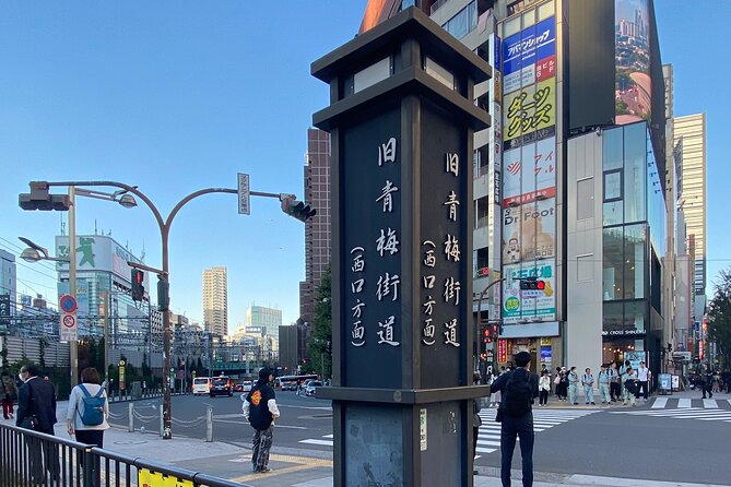 KABUKICHO DEEP TOUR + DINNER & BAR HOP w/local certified guide - The Darker Side of Central Kabukicho