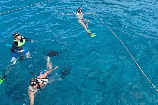 Key West Afternoon Snorkel Sail with Unlimited Cocktails! - What you may see below the surface