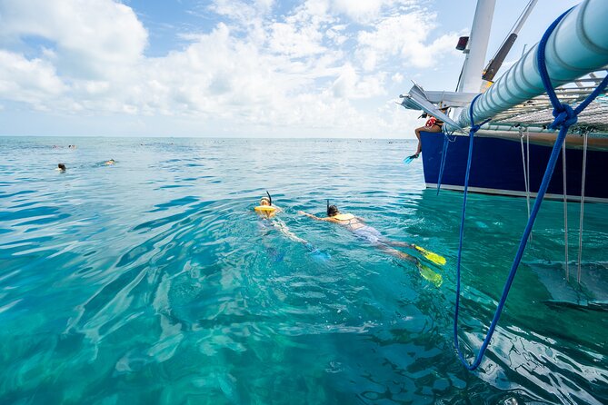 Key West Afternoon Snorkel Sail with Unlimited Cocktails! - Practical planning for the seaport departure