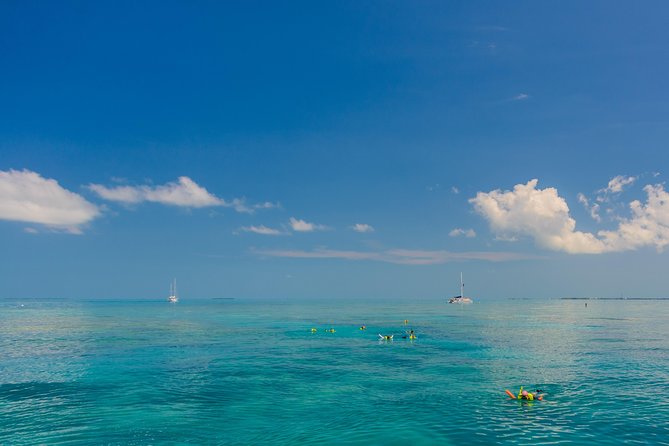 Key West Afternoon Snorkel Sail with Unlimited Cocktails! - Who will enjoy this afternoon sail