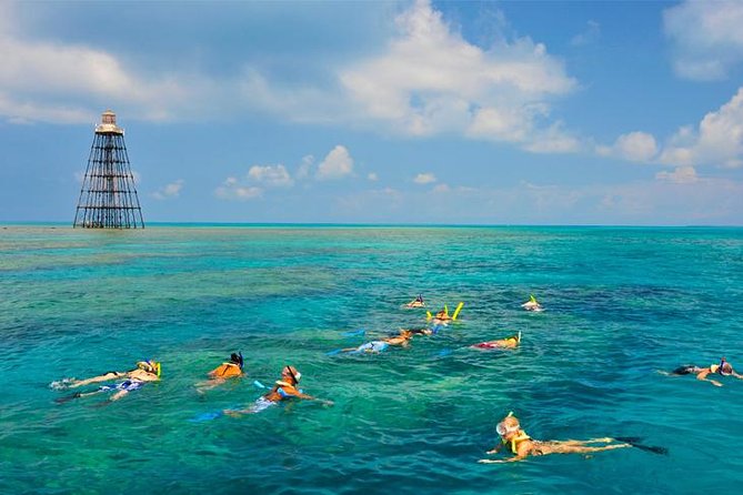 Key West Afternoon Snorkel Sail with Unlimited Cocktails! - Why the Florida Reef makes the trip worthwhile