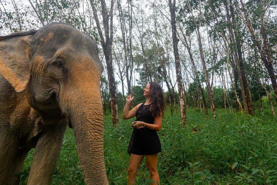 Khaolak: Sunset Elephant Walk with Complimentary Cocktail - Key points to know before booking