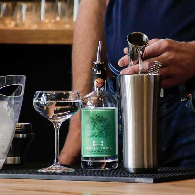 Ljubljana: Broken Bones Gin Experience with Cocktails - Key points at a glance