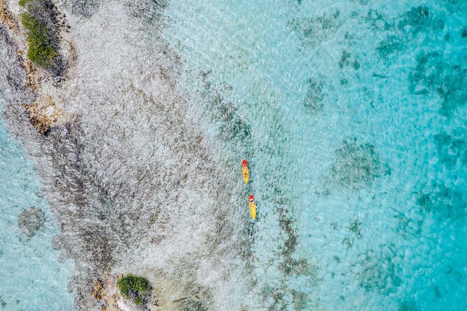 Luxury Lagoon Cruise with Onboard Chef and Signature Cocktails - Cocktails, champagne, and the practical drinking question