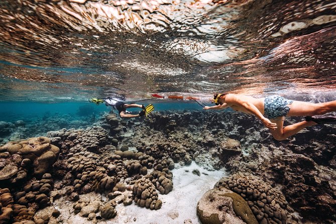 Luxury Lagoon Cruise with Onboard Chef and Signature Cocktails - What to bring and how to plan the day