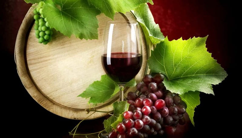 Madrid Wine Tasting, Flamenco Class and Trendy Bar - The exclusive bar and changing venues