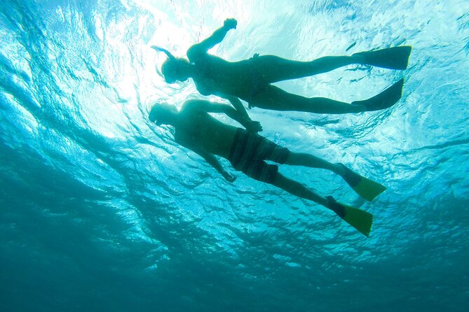 Maho Bay Turtle Snorkel with Lunch and Bar at Frenchman's Reef - The ride home and open bar