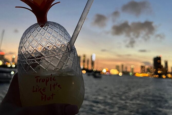 Miami Skyline Sunset Cruise with The Mojito Bar On board - The first view: Biscayne Bay and the Port of Miami