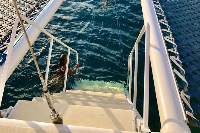 Moana’s Swim’n’Sail Cocktail Cruise Along the Waikiki Coast - Practical details that make the afternoon easier