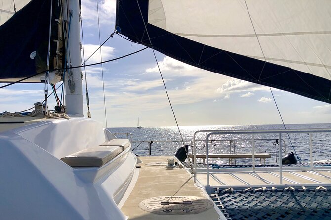 Moana’s Swim’n’Sail Cocktail Cruise Along the Waikiki Coast - The swim stop off Waikiki