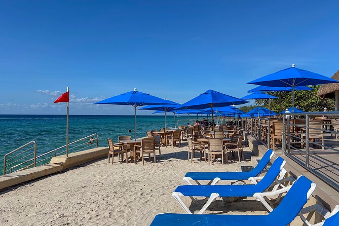 Money Bar Day Pass with Snorkel & Mexican Lunch - What the included lunch is worth