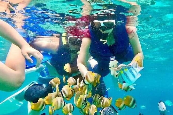 Monkey Bar and snorkling adventure at blue lagoon. - What this Seminyak day combines