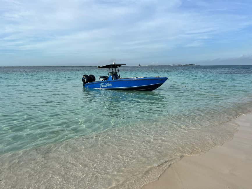 Nassau: Snorkeling, Swimming Pigs, Turtles & beach bar - Rose Island Snorkeling Comes First
