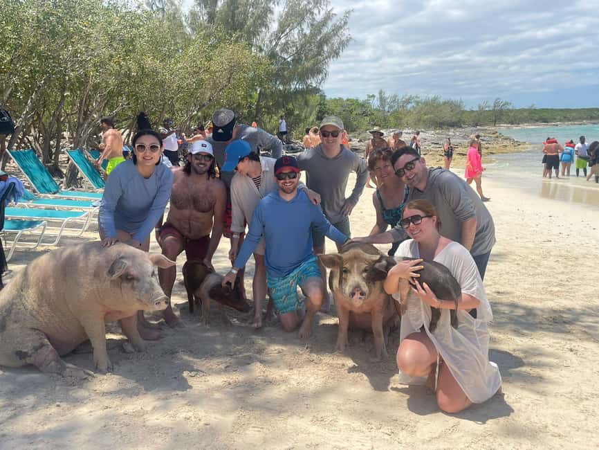 Nassau: Snorkeling, Swimming Pigs, Turtles & beach bar - What the $210 Price Really Covers