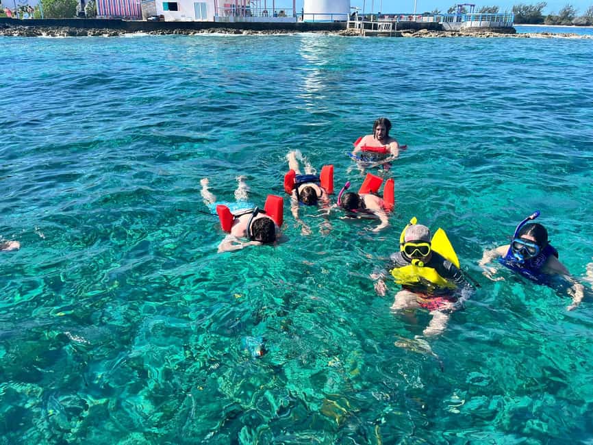 Nassau: Snorkeling, Swimming Pigs, Turtles & beach bar - A Local Bar Gives You Time to Eat