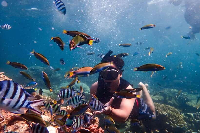 Nha Trang: Coral Reef Snorkeling, Mud Bath & Floating Bar - Snorkeling over Nha Trang’s coral reef