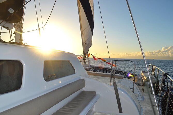 Oahu's Waikiki Coast: Moana’s Sunset Cocktail Sail - Wildlife from November through May