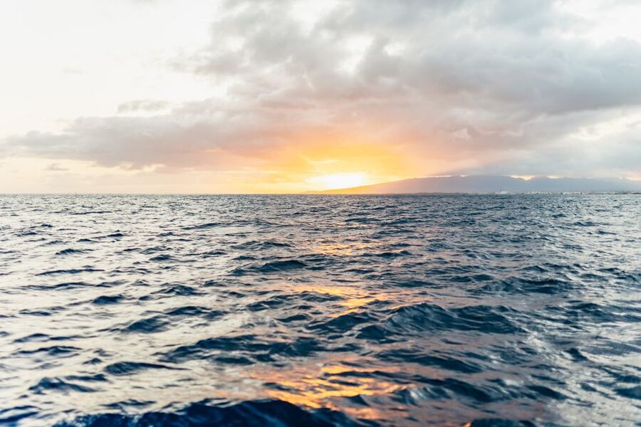 Oahu: Waikiki Sunset Catamaran Cocktail Cruise - The bar, snacks, and what your $99 covers