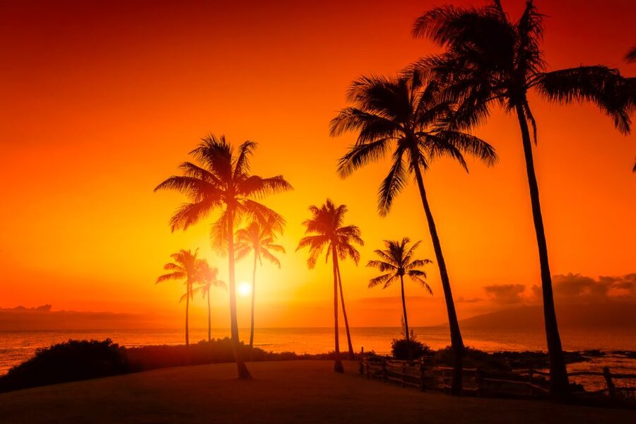 Oahu: West Oahu Sunset Cruise with Cocktails and Appetizers - What the two-hour sailing schedule feels like