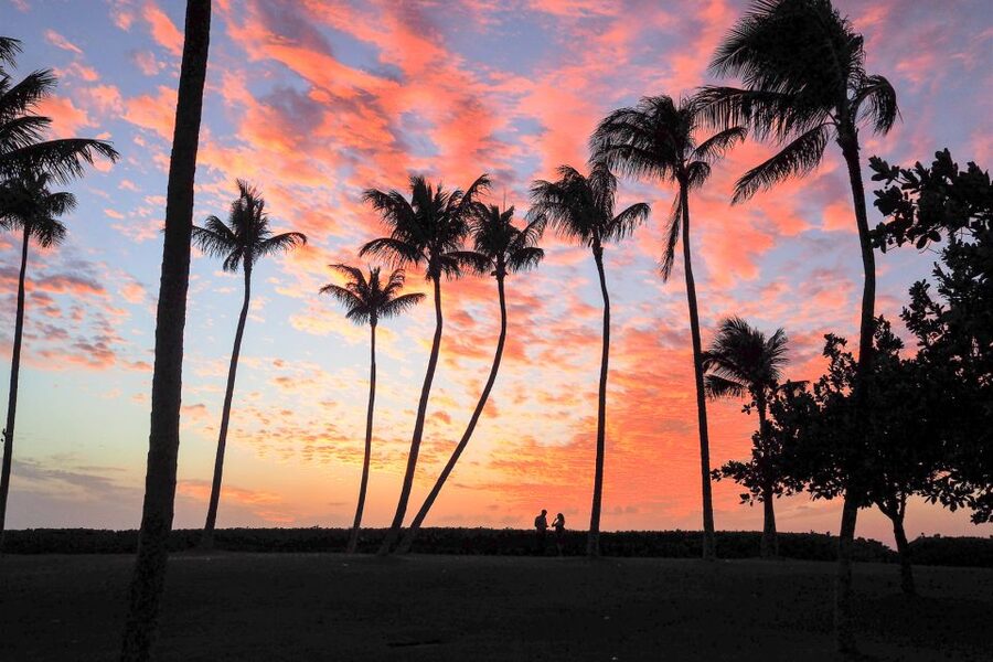 Oahu: West Oahu Sunset Cruise with Cocktails and Appetizers - Drinks and food: what your $89 covers