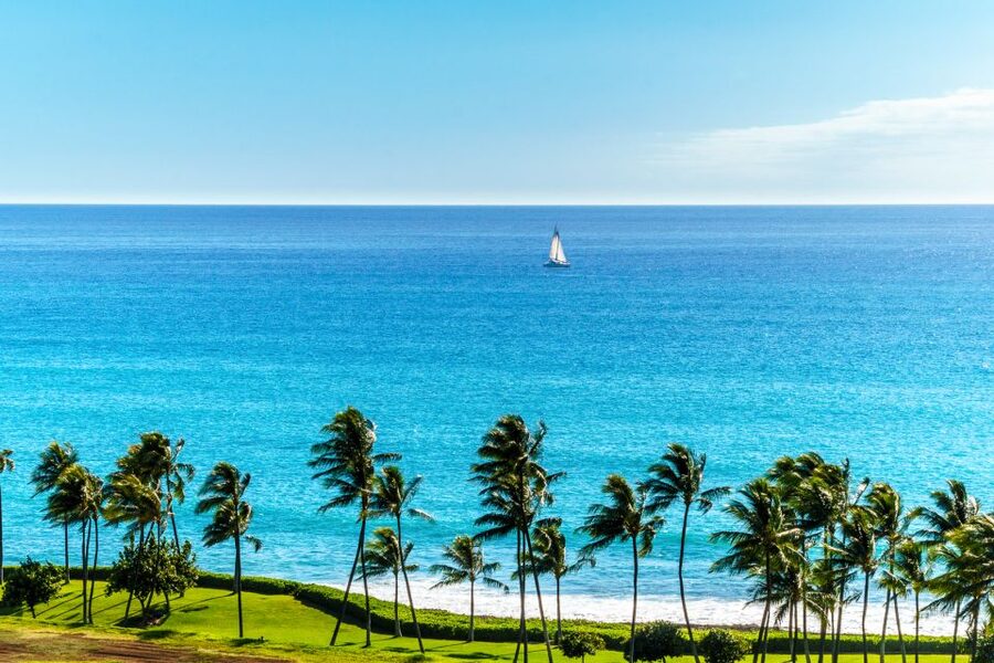 Oahu: West Oahu Sunset Cruise with Cocktails and Appetizers - Who will get the most from this cruise