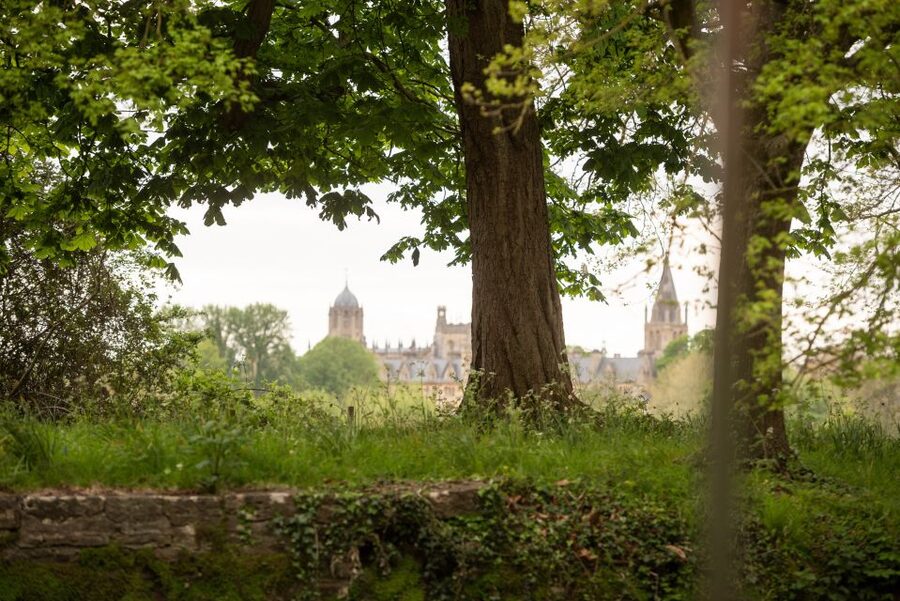 Oxford: Evening Sightseeing River Cruise with a Cocktail - What the guide adds in 45 minutes